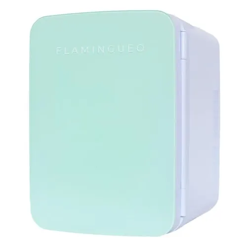 Flamingueo Mini Kühlschrank - Kühlschrank Klein 10L, 12V/220V, Mini Fridge, Funktion Kühlen und Heizen, Tischkühlschrank, Getränkekühlschrank Klein