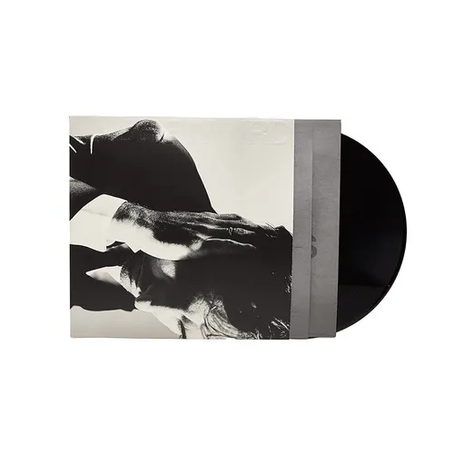 Andrew Bird Inside Problems 1LP Vinyl 2022 Loma Vista