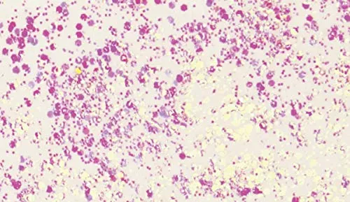 Knorr Prandell Flaky Glue 50ml weiß