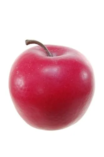 Lebensmittel-Attrappen von artplants