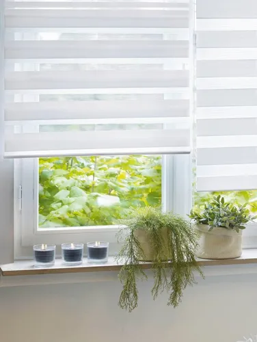 Doppelrollo mit Aluminiumkassette von GARDINIA, 60 cm x 160 cm - Rollos mit hochwertiger Optik und Lichtschutz, ideal für große Fensterflächen, einfach zu bedienen mit Kettenzug.