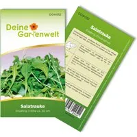 Deine Gartenwelt Salatrauke Samen