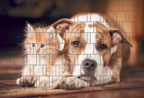 Produktbild zaunzu Sichtschutzstreifen Hund & Katze