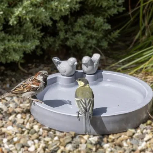 CJ Wildlife Vogeltränke Winterfest – Frostsichere Trinkschale für Vögel