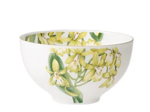 Villeroy & Boch Müslischale Amazonia Bol von Villeroy & Boch