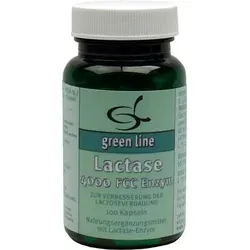 LACTASE 4.000 FCC Enzym Kapseln 100 St