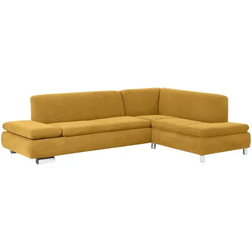 Sofas Gold von Max Winzer
