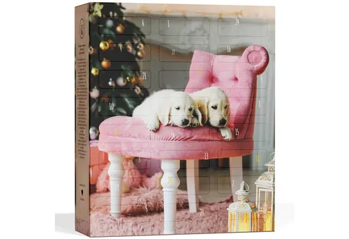 BOXILAND® Hunde Adventskalender 2025 – 24 köstliche Leckerlies für Ihren Hund - Adventskalender für Hunde mit 24 hochwertigen Snacks, 100 % tierversuchsfrei und in Deutschland hergestellt. Ideal für treue Begleiter und ein besonderes Geschenk für Hundeliebhaber.