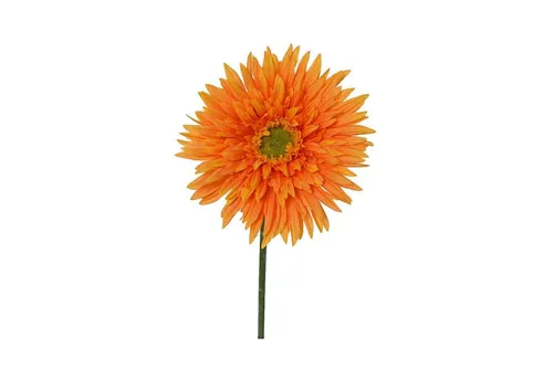 Kunstpflanze CHRYSI, Grün, Orange, Kunststoff, mit Blüten, Chrysantheme, Kaemingk, Höhe 54 cm