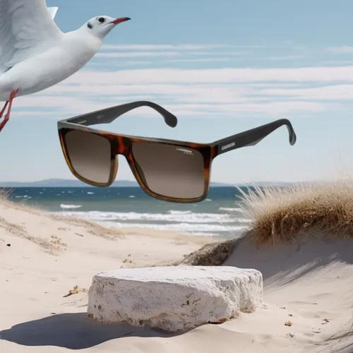 Carrera 5039 S 02OS/HA Havana Matte Black Sonnenbrille Neu/OVP