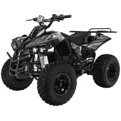 Quads von Actionbikes Motors