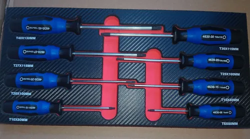 Schraubendreher Einlage 