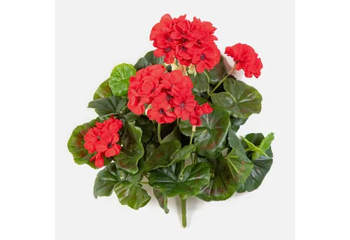 Kunstblume Künstliche Geranie CAPH auf Steckstab, rot, 30cm Geranie, artplants, Höhe 30.0 cm