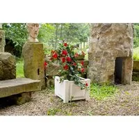 KHW Kunststoff-Pflanzkasten 43x41 cm, Weiß - Eleganter Pflanzenkasten für Innen und Außen, UV-beständig und frostsicher. Ideal für kreative Gartengestaltung und pflegeleichte Blumenpräsentation.