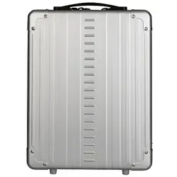 Aleon Hybrid Rucksack mit Laptopfach 39 cm, silberfarben - Laptop-Rucksack mit 39 cm Laptopfach, stylisches Design und hohe Funktionalität für den modernen Alltag.