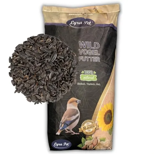 Lyra Pet® | 10 kg Sonnenblumenkerne Schwarz | Neue Ernte | Ganzjahres Vogelfutter für Wildvögel l Für Kleine Vögel & Jungtiere durch Dünnere Schale | Optimale Energie durch Hohen Ölanteil