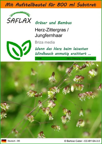 SAFLAX Blumensamen SAFLAX - Garden in the bag - Herz-Zittergras / Jungfernhaar