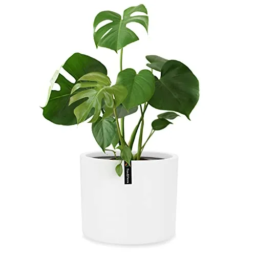 Fox&Fern Übertopf M - Blumentopf mit Wasserspeicher - Garten-Zubehör mit hochwertigem Design und mattem Finish. Der integrierte Wasserspeicher sorgt für optimale Bewässerung und ist ideal für Zimmerpflanzen und draußen.