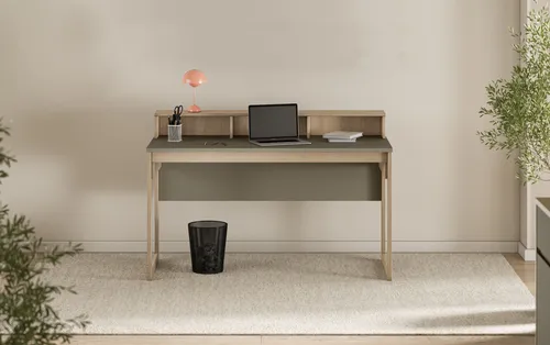 Schreibtische Grün von Home Affaire