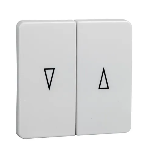 Elso 213804 Wippe 2-fach für Jalousieschalter und Jalousietaster mit Symbol 