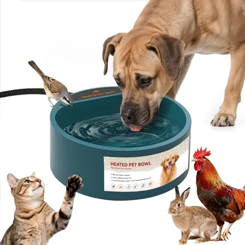 ENJOYING Beheizter Wassernapf, 2.2 L, Beheizbare Tränke Kaninchen Hunde Katzen, Kalter Tag Beheizbare Hühnertränke, Beheizbarer Wassernapf mit Anti-Biss Stromleitung, Einfrieren Verhindern, Grün
