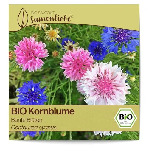 Samenliebe BIO Kornblume Samen Bunte Blüten Schnittblume Bienenweide 200 Samen samenfestes Blumen Saatgut für Gewächshaus Freiland und Balkon BIO Blumensamen mehrjährig