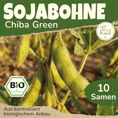 Little Plants BIO Sojabohne Samen 10 Sojabohnensamen Edamame Chiba Green Gemüsesamen Gemüsesaatgut Samenfest für Gemüsegarten, Hochbeet, Küche, Balkon und Garten