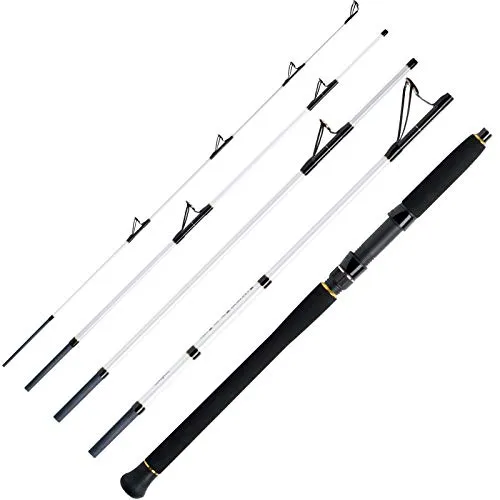 WFT Salzmeister Köhler Jigger 2,65m 25-120g - Reiseruten mit extrem belastbarem High Carbon Never Crack Blank für unzerstörbare Leistung beim Salzwasser-Spinnfischen vom Boot.