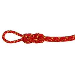 Mammut 8.0 Alpine Core Protect Dry Rope