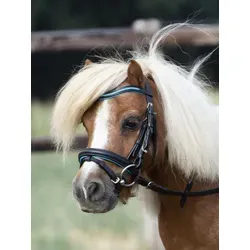 Busse Trense LITTLE - Hübsche Ledertrense für MiniShettys und Shettys, mit farbig unterlegtem Nasen- und Stirnriemen, ideal für stilvolles Reiten.
