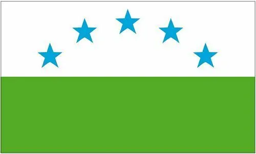 Flagge / Fahne Russland in grün von FahnenMax®