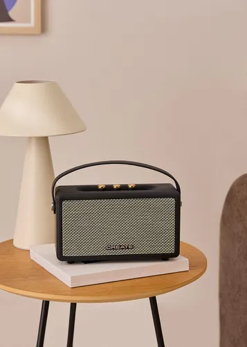 SPEAKER RETRO