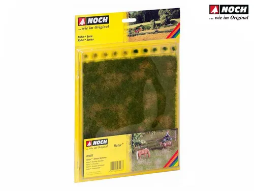 NOCH 07403 Spur neutral Natur+ “Wiese Sommer”