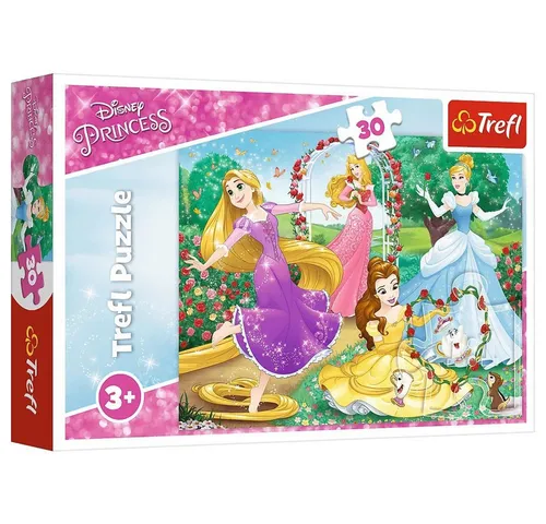 Disney Puzzles von Disney Princess