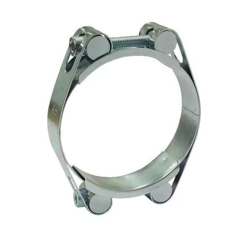 Teguma Schlauchschelle Sys.