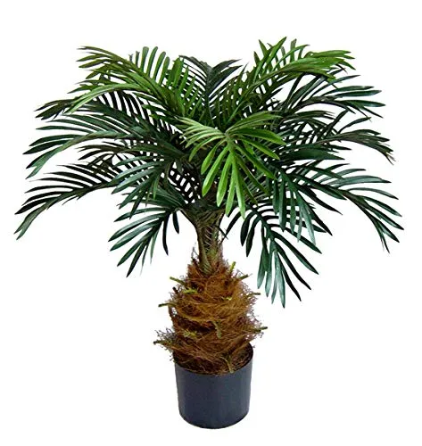 Kunstpalme Cycaspalme 80cm - Naturgetreue Dekoration - Kunstpalmen für stilvolle Innenräume, 80 cm hoch mit 21 Palmwedeln aus hochwertiger Textilfaser und realistischem Kokosfaserfuß.