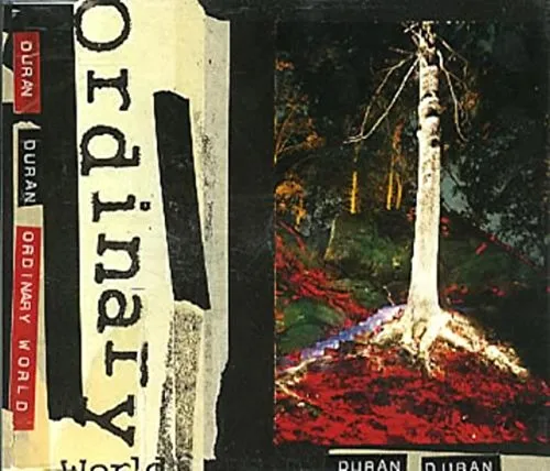 Produktbild Ordinary World