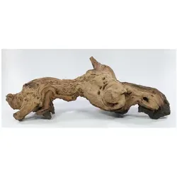 Deggelbam Aquarium Mopani Wurzel Eisenholzwurzel Aquarium versch. Größen S-XL, Echtholzwurzel zur Aquariumdekoration, Aquascaping Größe_L