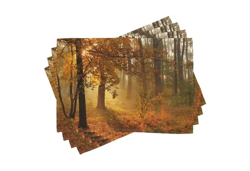 Abakuhaus Platzset Waschbare Stoff Esszimmer Küche Tischdekorations Digitaldruck, (4-teilig, 4-St., Set aus 4x), Herbst Misty Herbstwald