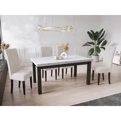WFL Group Esstisch, Hellgrau, Rechteckig, 90x78x160 cm - Esstisch im modernen Design aus robustem Holzwerkstoff, erweiterbar von 160 cm auf 300 cm – ideal für Familienfeiern! Hergestellt in der EU aus nachhaltigen Materialien.