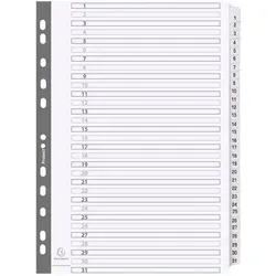 Exacompta Bedruckte Register mit plastifizierten Taben, 31 Taben von 1 bis 31, DIN A4