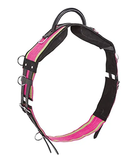 Longiergurt mit Handgriff