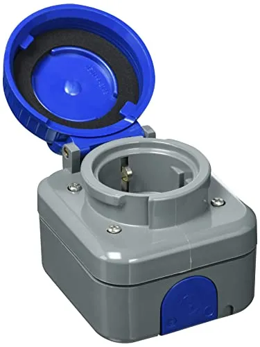 Busch-Jaeger Steckdose (2CKA002083A0343) - Hochwertige Steckdose für zuverlässige Stromversorgung, ideal für Zuhause und Büro