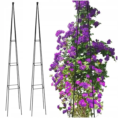 Kapaga – Metall Pergola Rankhilfe – Set 2 Stück – Garten Spalier Obelisk 120x13 cm – Stahl Ø6 mm, schwarz – Pflanzenstütze für Rosen, Clematis, Kletterpflanzen – voll verschweißt, Keine Montage nötig