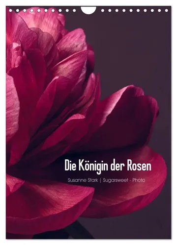 Susanne Stark Sugarsweet - Photo | Die Königin der Rosen (Wandkalender 2026...