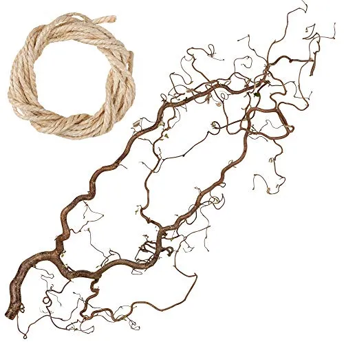 Echter, toll verschnörkelter Deko AST zum Aufhängen aus Korkenzieherhasel | Dekozweige für Bodenvase ca. 80cm