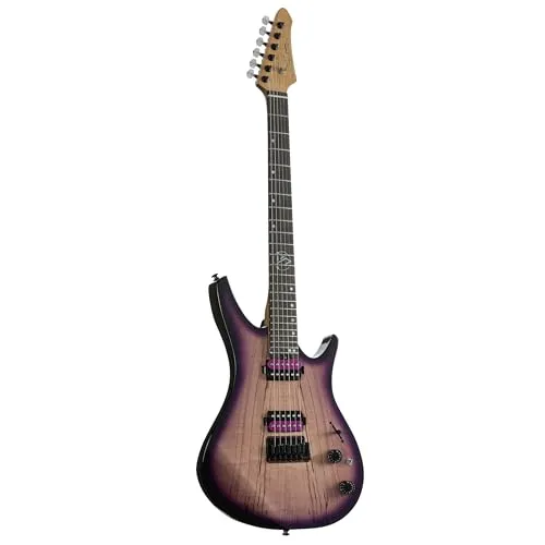 J & D DX-100DM E-Gitarre, Plum Burst Finish, Ergonomischer Korpus, Roasted Maple Neck, Custom Humbucker, 2-Point Tremolo