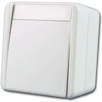 TEM Fontana Schalter 2 Polig Weiß 250V10A AP IP44