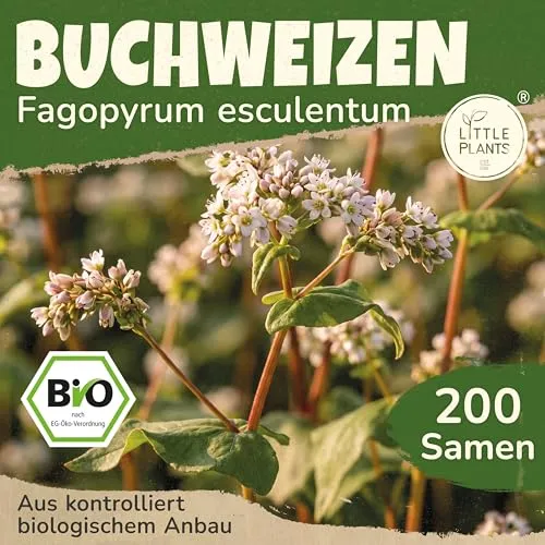 Saatgut von Little Plants