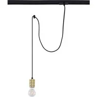 Lindby Stromschienenleuchte Linaro in Gold/Messing – 1-flammiger Aluminium-Stromschienenstrahler - Hochwertige 1-flammige Stromschienenleuchte für eine stilvolle Ausleuchtung. Ideal für Wohnzimmer, Esszimmer und Flure. Schaffen Sie mit dieser eleganten Lampe eine gemütliche Atmosphäre in jedem Raum.